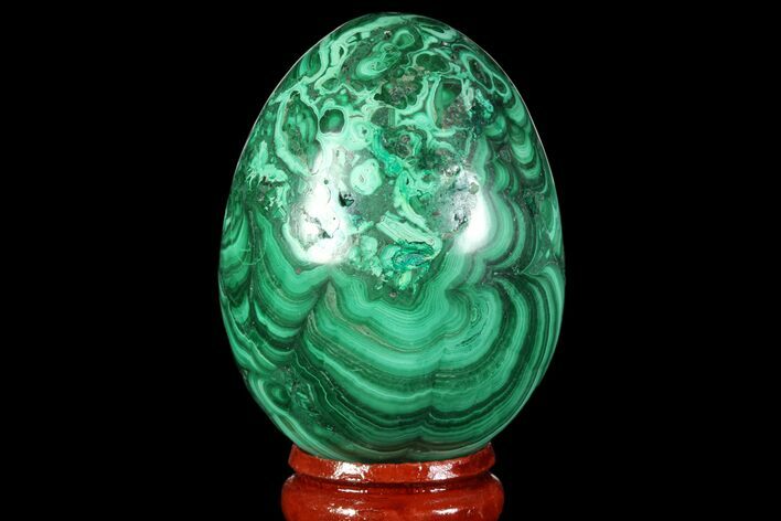 Stunning Polished Malachite Egg - Congo #89648
